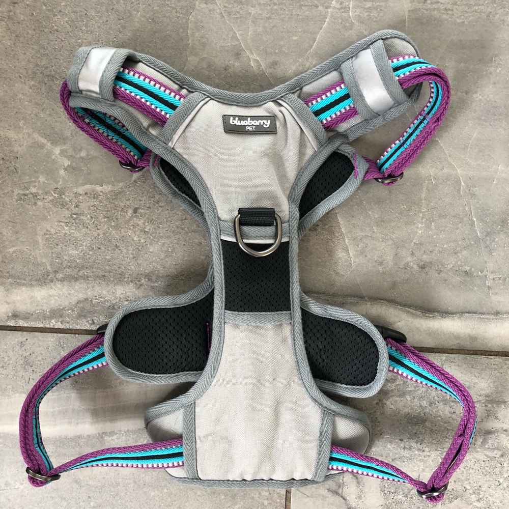 Blueberry Pet 3M Reflective Dog Harness - sz L
